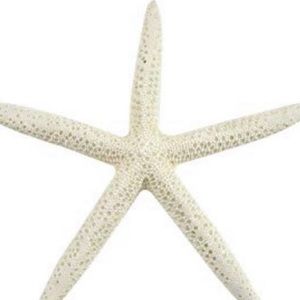 Meet your Posher, Stacia lynn